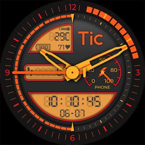 Facer shop ticwatch pro