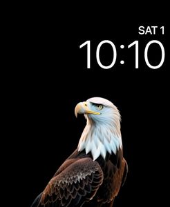 Josh Eagles SBLII • Facer: the world's largest watch face platform