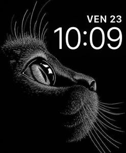 Cats • Facer: the world's largest watch face platform